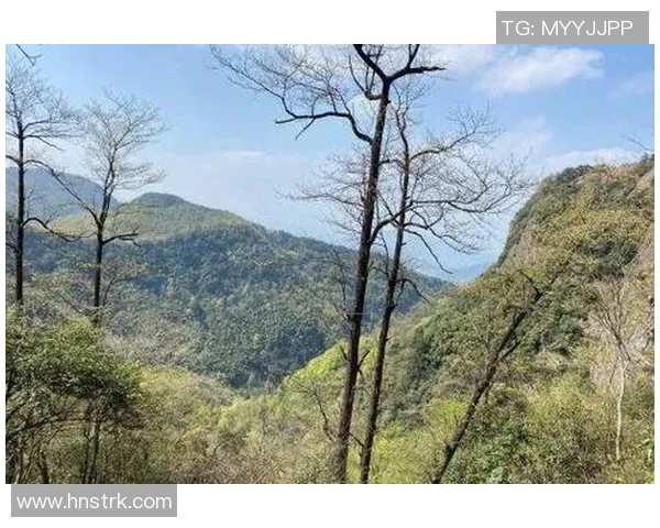 深度对话：黄丽在英雄联盟世界中的成长与挑战之旅