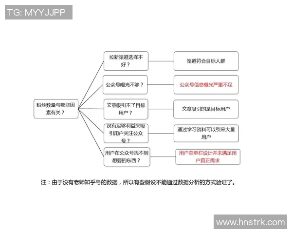 武汉排球队的排球战术与运营体系探究及其对竞技水平的提升分析
