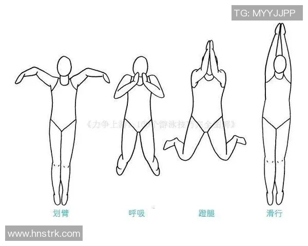 泳姿种类全解析：从蛙泳到蝶泳的技巧与训练方法揭秘