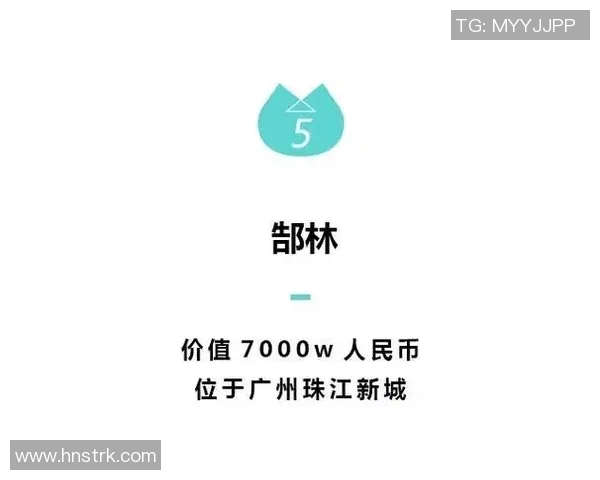 中国足球明星的薪资待遇与国际水平的对比分析及未来发展趋势探讨 中国足球明星的薪资待遇与国际水平的对比分析及未来发展趋势探讨